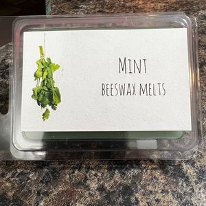 6 pk wax melts Mint scent